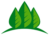 Liziera logo